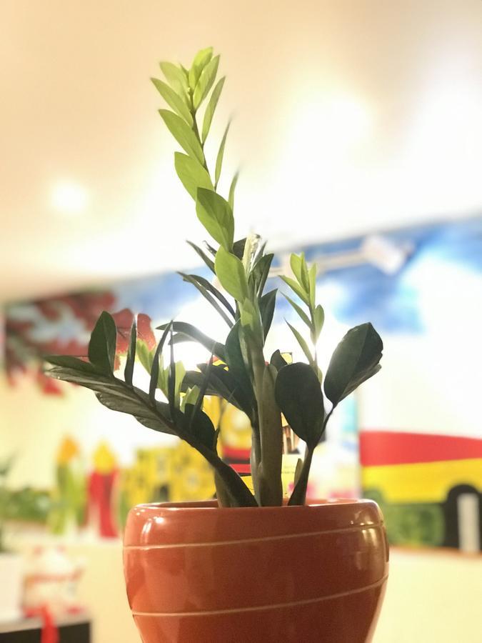 Ở trọ The Lily & Coffee